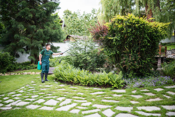 Best Affordable Pest Control Services  in Stone Ridge, VA
