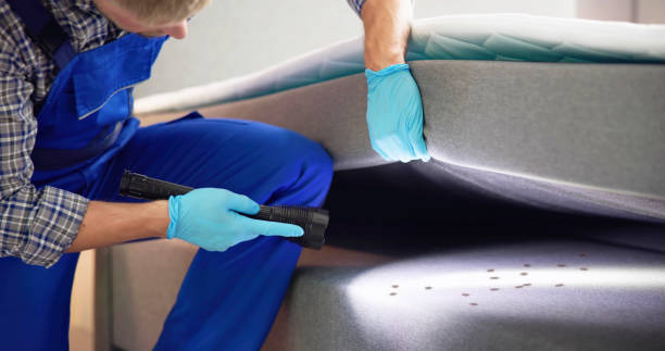  Stone Ridge, VA Pest Control Pros