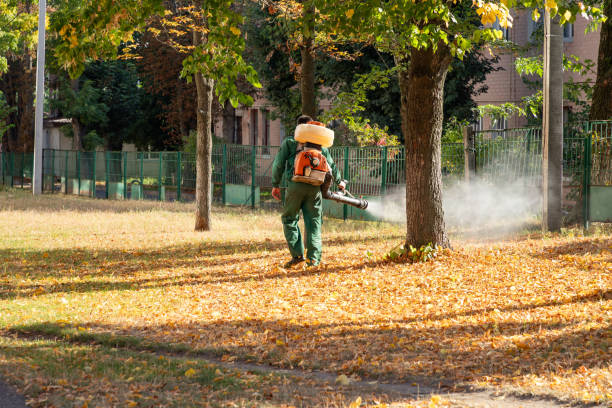 Insect Control in Stone Ridge, VA