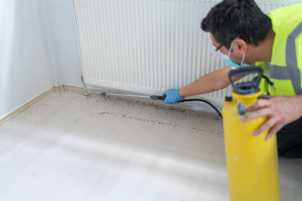 Best Best Pest Control Near Me  in Stone Ridge, VA